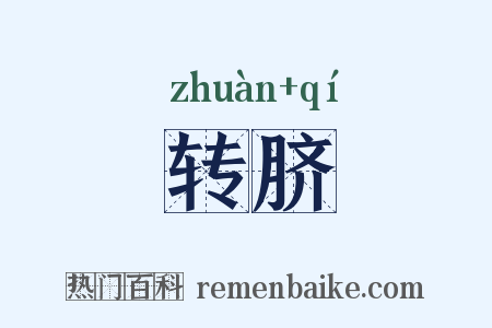 转脐是什么意思的图片